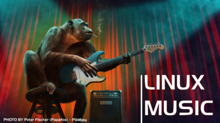 Picture of a monkey playing a guitar